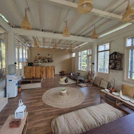 Freebird Nest 2 Stays & Cafe Jibhi Esterno foto
